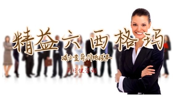 服務業(yè)運用精益六西格瑪的回報率