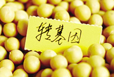 有什么方法能辨別轉基因食品 有什么方法能辨別轉基因食品