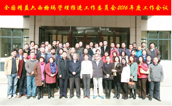 全國精益六西格瑪管理推進工作委員會2016年度工作會議召開 全國精益六西格瑪管理推進工作委員會2016年度工作會議召開