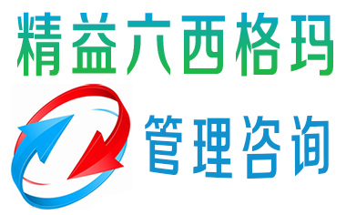 精益六西格瑪之7個方面整體分析精益六西格瑪
